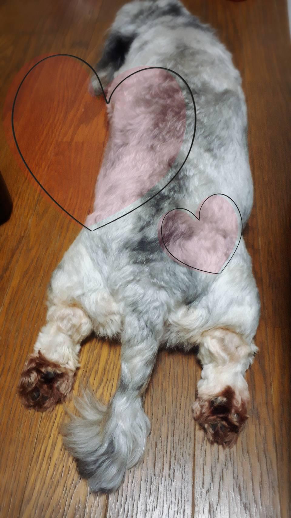 (´꒳｀)ﾎｯｺﾘ🍀✨