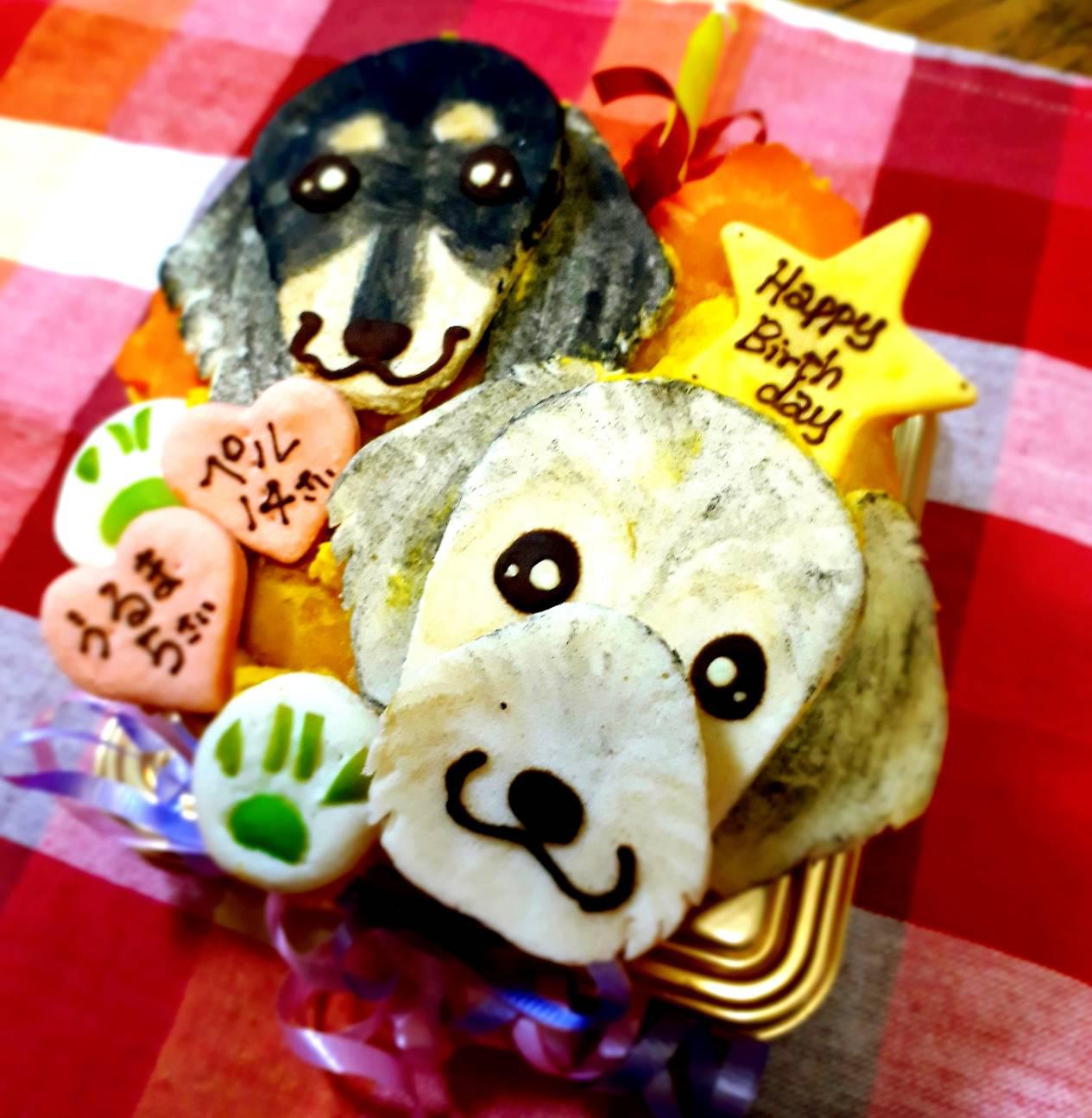 うちの子🐶🎂birthday