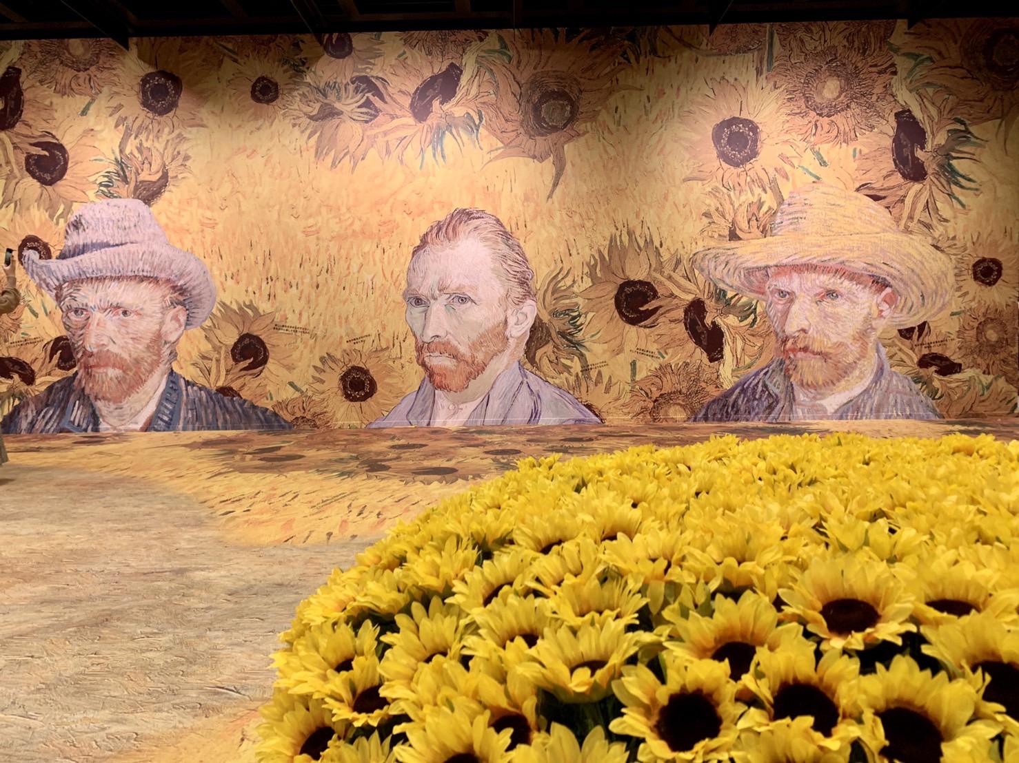 🌻ひまわり🌻