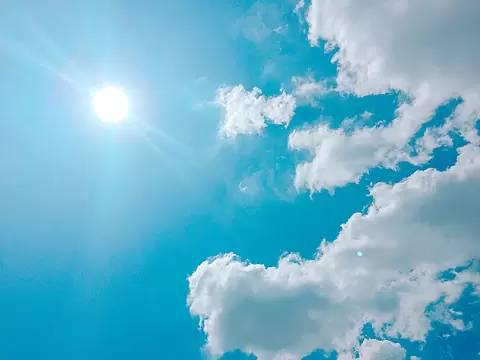 貴女の日傘は白派？黒派？