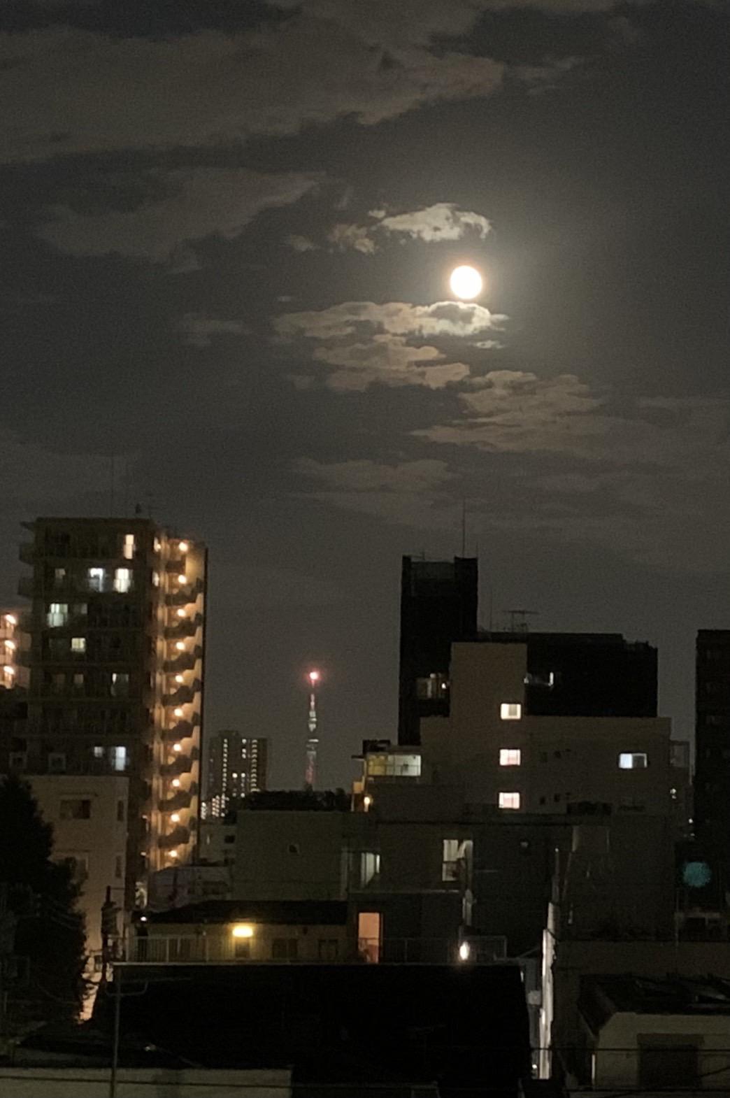 🎃実りの秋🍁