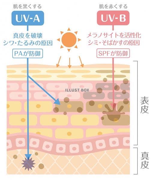 日焼け止めを選ぶコツ