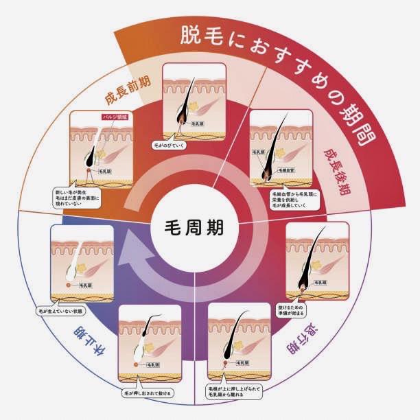 大人のVIO脱毛👙