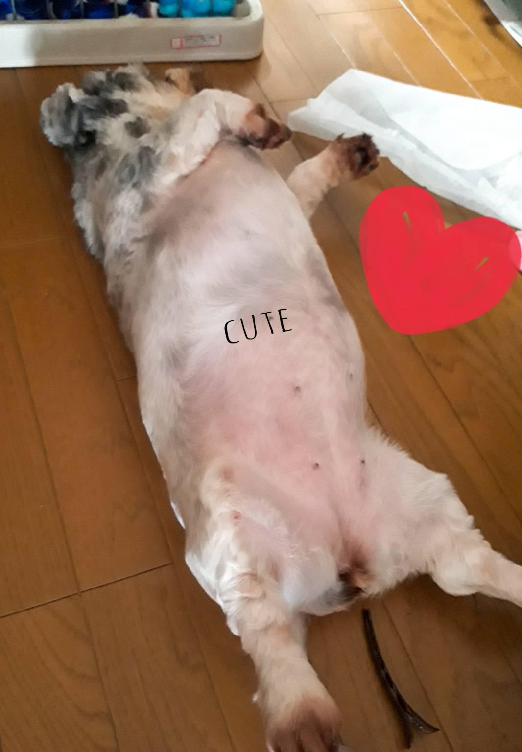 秋に、運動始めませんか？