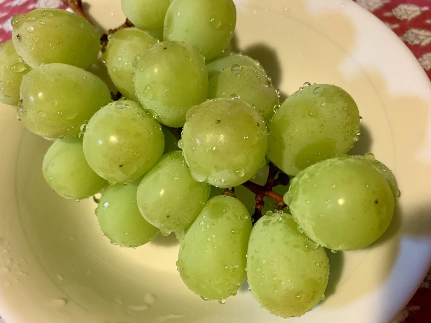 シャインマスカット🍇