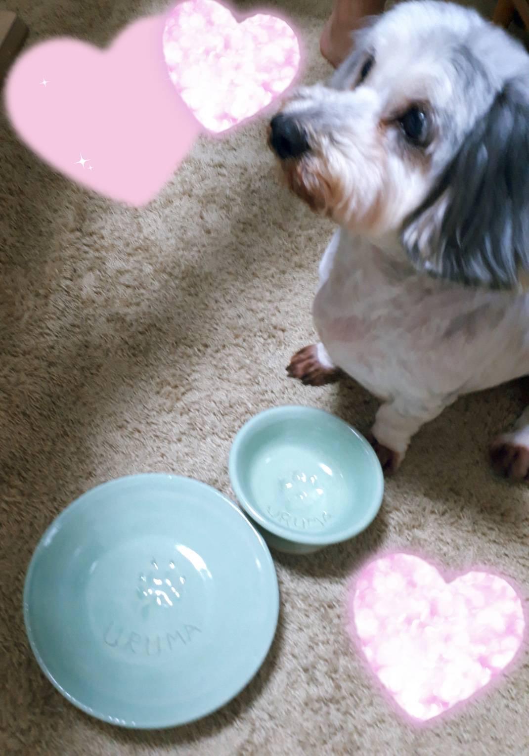 夏にまっしぐら！