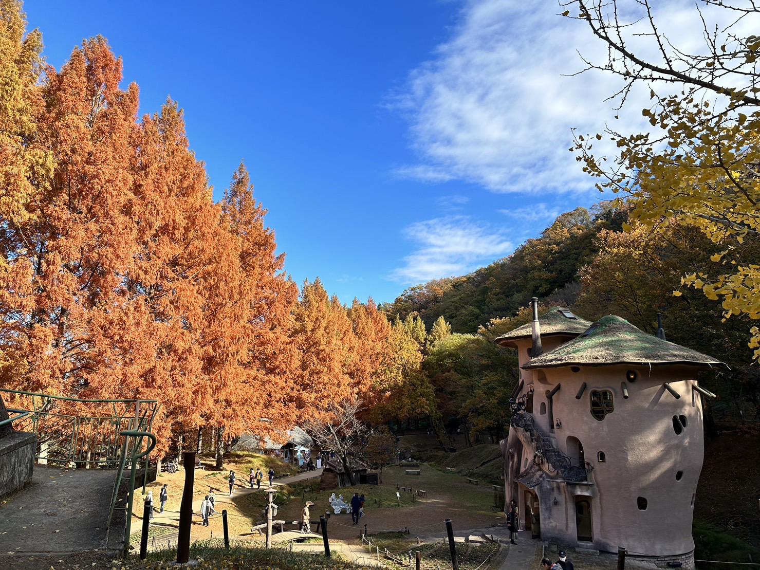 あけぼの子供の森公園